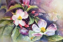 Fleur de pommiers - 14"x21"