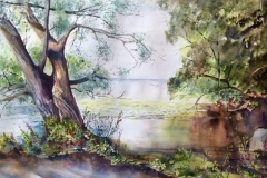 L'arbre sur le lac - 14"x22" - VENDUE